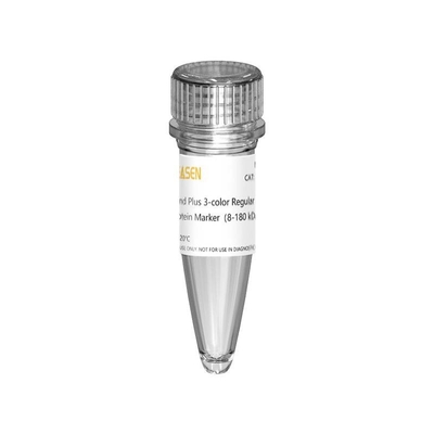 III 12-190KDa Jel Elektroforezi için Prestained Protein Marker Merdiveni