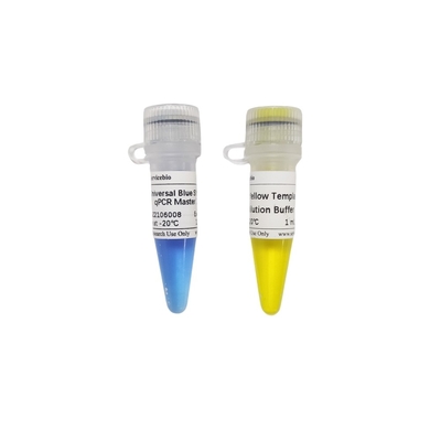 2× Evrensel Mavi GSK Yeşil QPCR Master Mix, 40× Sarı Şablon Seyreltme Tamponlu