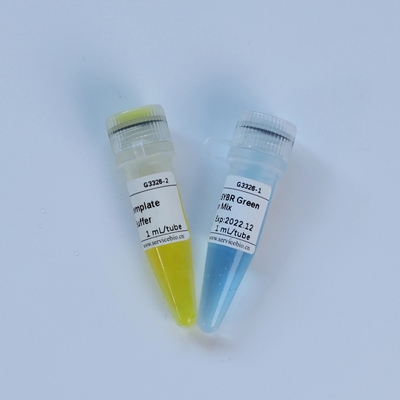 Evrensel TaqMan Multiplex QPCR Master Mix Biyokimyasal Reaktif