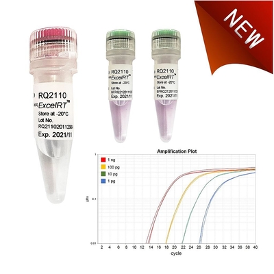 Biyokimyasal Reaktif No Rox QPCR Mix 1000 X 20ul Reaksiyon Accuris QMax Green