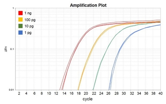 Biyokimyasal Reaktif No Rox QPCR Mix 1000 X 20ul Reaksiyon Accuris QMax Green