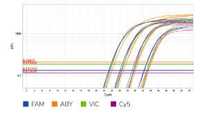 Evrensel TaqMan Multiplex QPCR Master Mix Biyokimyasal Reaktif