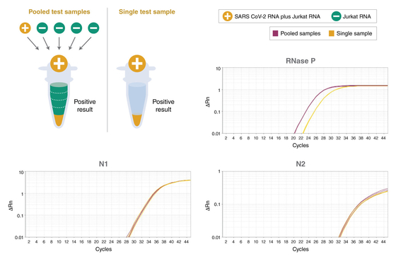 Evrensel TaqMan Multiplex QPCR Master Mix Biyokimyasal Reaktif