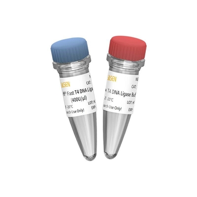 NGS Kütüphane İnşaatı Hızlı T4 DNA Ligaz 400 U/UL YALNIZCA Araştırma Kullanımı İçin