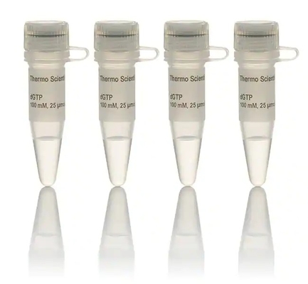 Biyokimyasal Reaktif 100 MM DNTP Set Solüsyonu DATP DCTP DTTP DGTP