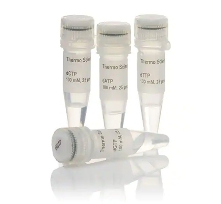 25mmol/L %99 Saflık DNTP Karışımı 25mM Her biri YALNIZCA araştırma amaçlı kullanım içindir