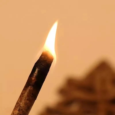 Isıtma Sistemi Biyokütle Yakıt Odun Pelet Profesyonel Enerji Tasarrufu
